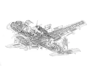 <b class=qtipBold><figcaption>Avro 748 Cutaway Cutaway Drawing</figcaption></b><br><em>© Flightglobal</em> Avro 748 Cutaway Cutaway Drawing