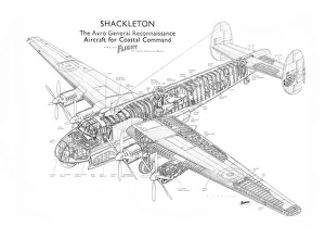 Avro Shackleton Mk1 Cutaway Drawing