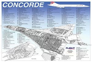 Editor's Picks: BAe Concorde Cutaway Poster