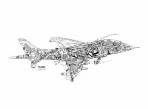Military Aviation 1946-Present Cutaways Gallery: BAe Harrier T2 Cutaway Drawing