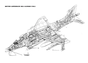 BAe Sea Harrier FRS1 Cutaway Drawing