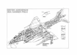 Military Aviation 1946-Present Cutaways Collection: BAe Sea Harrier FRS2 Cutaway Poster