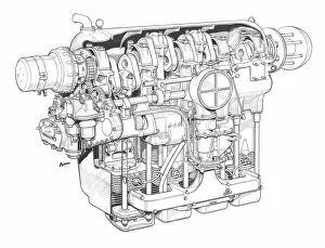 Aeroengines - Piston Cutaways Collection: Blackburn Cirrus Cutaway Drawing