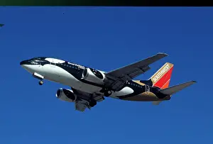 Boeing 737-500 Southwest Airlines in Sea World Whale livery