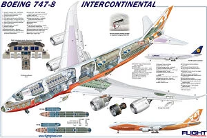 Cutaway Posters Gallery: Boeing 747-8 Cutaway Poster