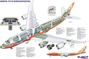 Boeing 747-8 Intercontinental Cutaway Poster