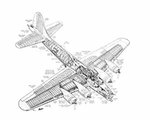 Military Aviation 1903-1945 Cutaways Collection: Boeing B-17G Flying Fortress Cutaway Drawing