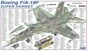 Military Aviation 1946-Present Cutaways Collection: Boeing F / A-18F Super Hornet Cutaway Drawing