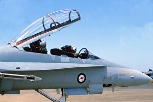 Airforce Gallery: Boeing F18 Hornet RAAF