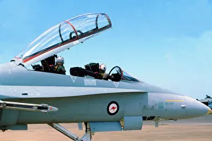 Airforce Collection: Boeing F18 Hornet RaF