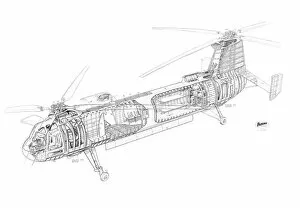 Military Helicopter Cutaways Gallery: Bristol 192 Belvedere Cutaway Drawing