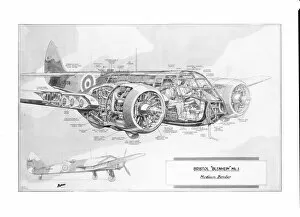 Military Aviation 1903-1945 Cutaways Collection: Bristol Blenheim Mk1 Cutaway Drawing