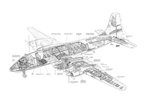 Bristol Britannia 300LR Cutaway Drawing
