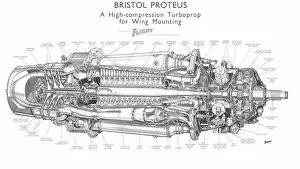 Aeroengines - Piston Cutaways Gallery: Bristol Proteus Cutaway Drawing