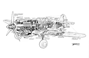 Military Aviation 1903-1945 Cutaways Collection: Curtiss Tomahawk Cutaway Drawing