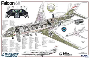 Dassault Falcon 6X Cutaway