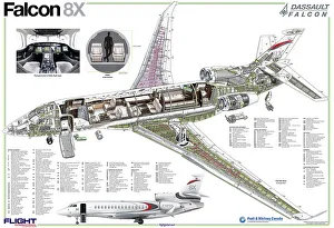 dassault falcon 8x cutaway Trending Item 3