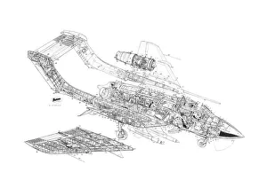DH Sea Vixen Cutaway Drawing