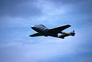 DH Vampire T11