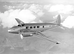 DH104 Dove