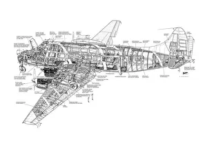 <b class=qtipBold><figcaption>DH114 Heron Cutaway Drawing</figcaption></b><br><em>© Flightglobal</em> DH114 Heron Cutaway Drawing
