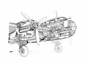 Military Aviation 1903-1945 Cutaways Gallery: Dornier Do215 Cutaway Drawing