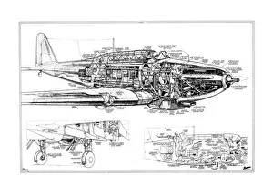 Military Aviation 1903-1945 Cutaways Collection: Fairey Battle Cutaway Drawing