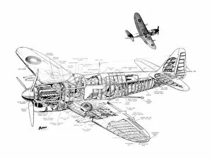 Military Aviation 1903-1945 Cutaways Collection: Fairey Firefly Cutaway Drawing