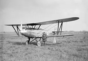 Airforce Collection: Fairey Fox
