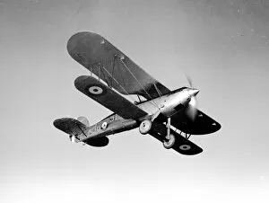 Airforce Gallery: Fairey Fox II