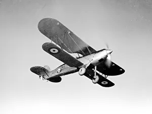 Airforce Collection: Fairey Fox II