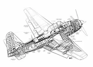 Military Aviation 1903-1945 Cutaways Collection: Fairey Spearfish Cutaway Drawing