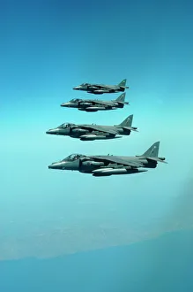 Flight Gallery: Flight, 4SQGR7~1