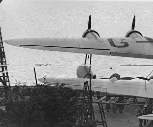 Flight Gallery: Flight, crop