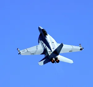 Flight Collection: Flight, F-18