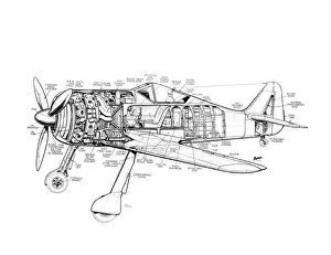 Military Aviation 1903-1945 Cutaways Collection: Focke Wulf FW190 Cutaway Drawing
