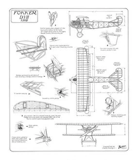 Military Aviation 1903-1945 Cutaways Collection: Fokker D.VII Cutaway Drawing