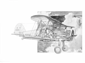 Military Aviation 1903-1945 Cutaways Collection: Gloster Gladiator cutaway drawing
