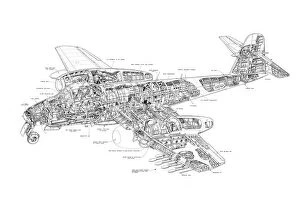 Military Aviation 1946-Present Cutaways Gallery: Gloster Meteor Cutaway Drawing