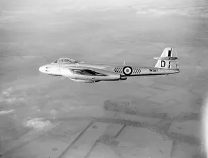 Gloster Meteor Mk8