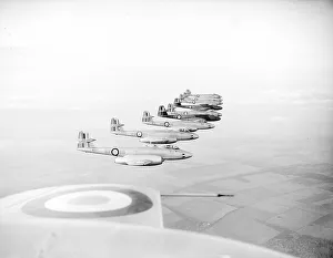 Gloster Meteor Mk8