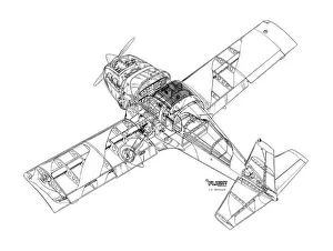 Civil Aviation 1949-Present Cutaways Collection: Grumman American a1 Yankee Cutaway Drawing