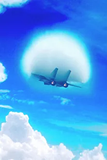 Grumman F14 Sonic Boom