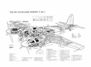 Military Aviation 1946-Present Cutaways Gallery: De Havilland DH Hornet Cutaway Drawing