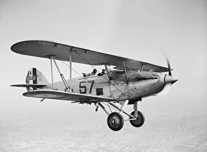 Flight Collection: 