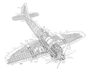 Military Aviation 1903-1945 Cutaways Collection: Hawker Tempest MkV Cutaway Drawing