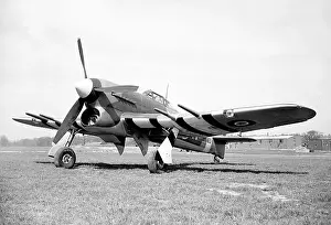 Hawker Typhoon 1A EK183 RAF 16/04/43 (c) The Flight Collection Not to be reproduced without permission
