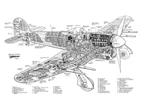 Military Aviation 1903-1945 Cutaways Collection: Hawker Typhoon 1B Cutaway Drawing