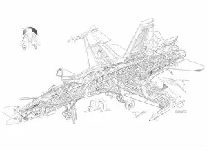 Military Aviation 1946-Present Cutaways Gallery: McDonnell Douglas F / A-18 Hornet Australian Cutaway Drawing