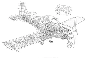 Mitchell Proctor kittiwake Cutaway Drawing